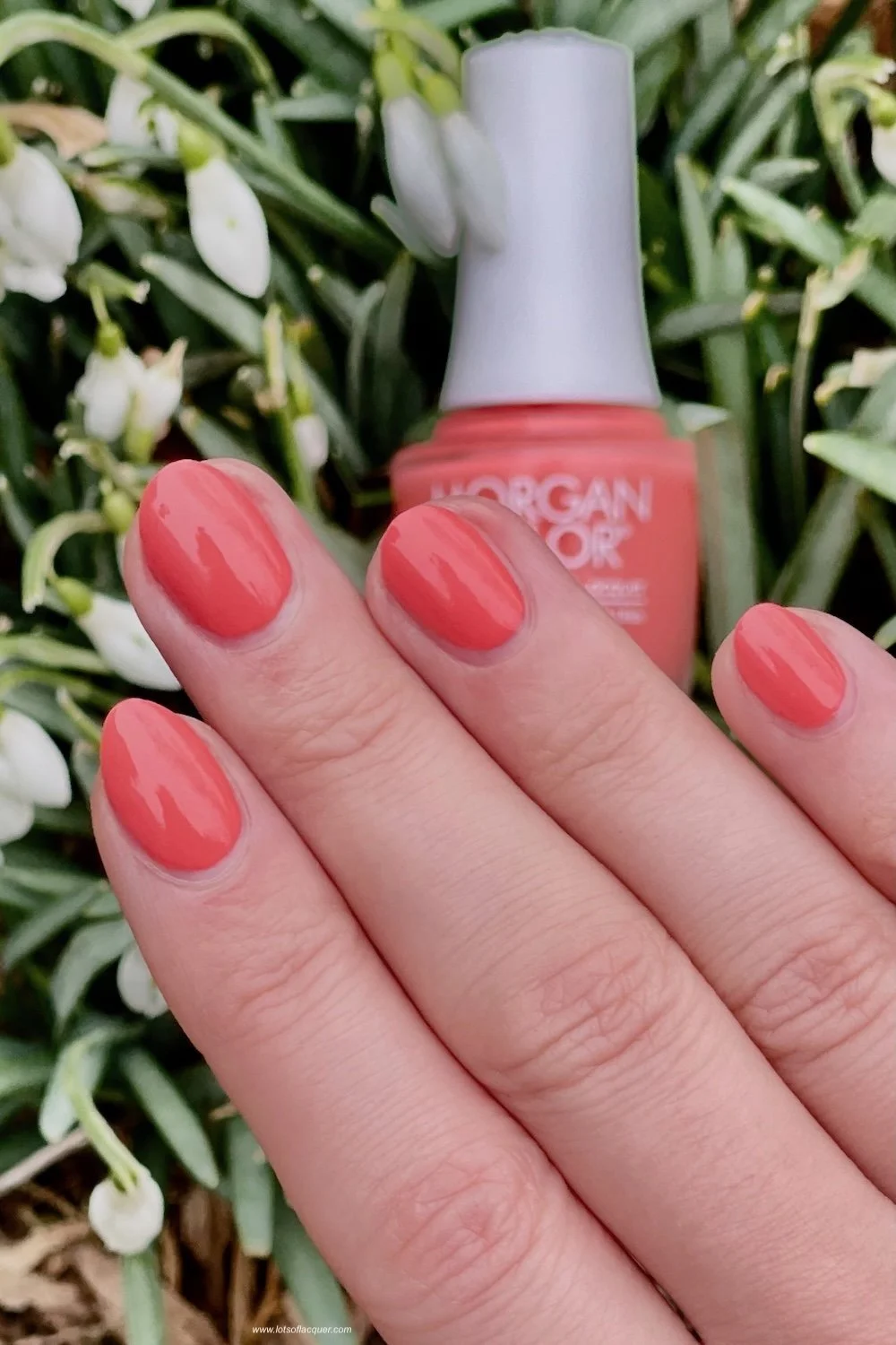 Morgan Taylor Spring 2025 Now & Zen Collection Swatches